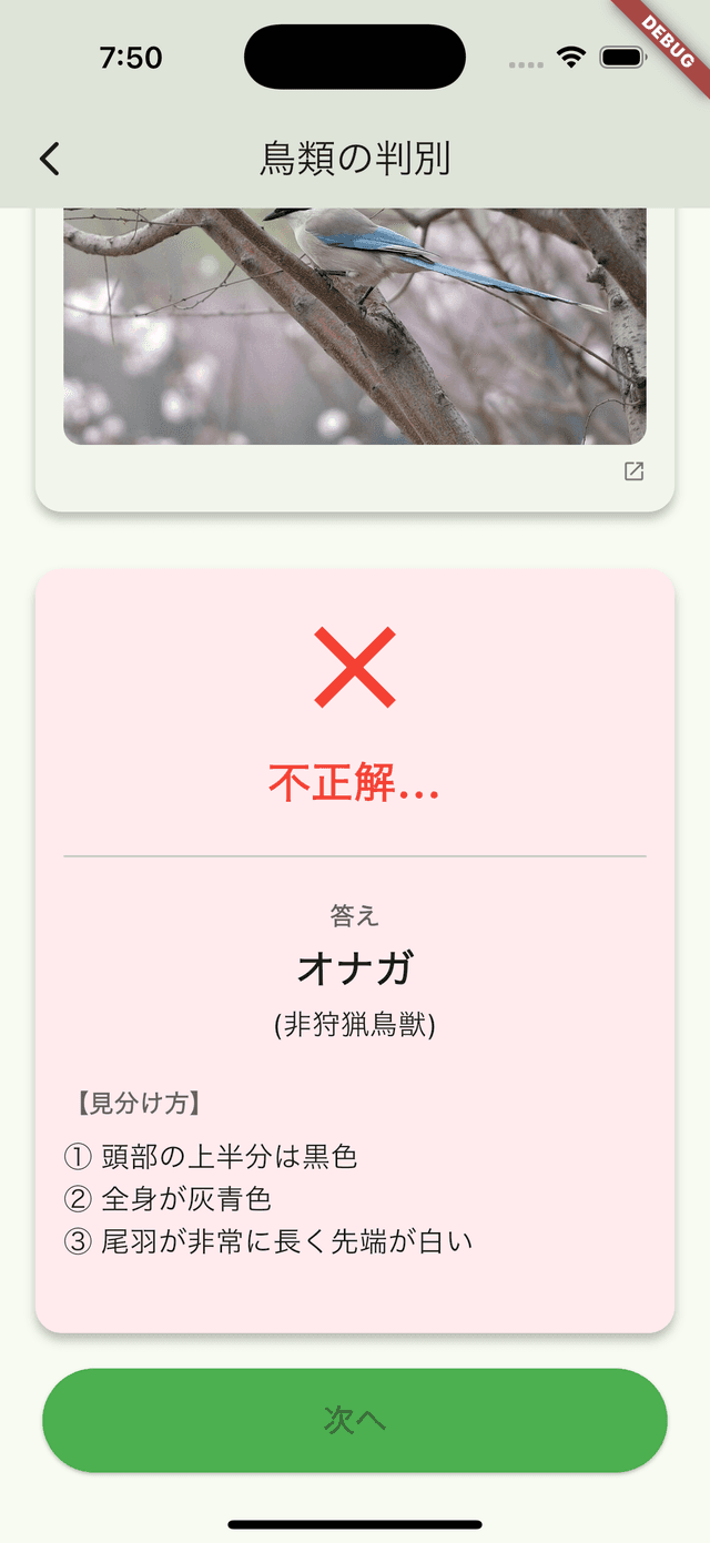 鳥獣判別クイズ画面